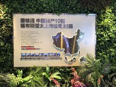 -碧桂园总部(碧江大桥店)