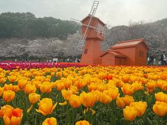 -苏州上方山国家森林公园