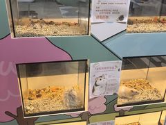-好利来(上海长宁龙之梦店)