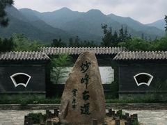 -阳台山自然风景区