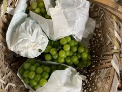 -马陆小张葡萄园农家乐