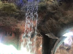 -新加坡水上探险乐园