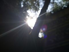 -南岳衡山风景名胜区-南岳大庙