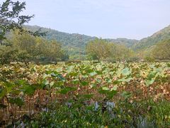 -八卦田遗址公园