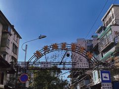 -溪岸路花鸟市场