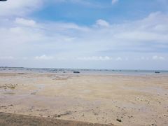 -北海金海湾红树林生态旅游区