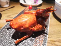 -大鸽饭(岗顶店)