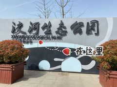 -洨河生态公园