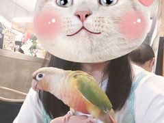 -吾叁·吉趣鸟咖(万科店)