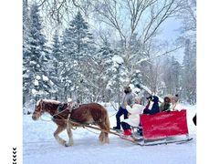-北极村旅游风景区
