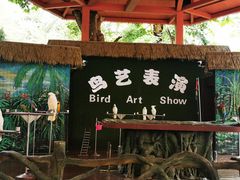 -西双版纳原始森林公园