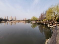 -前关湿地公园