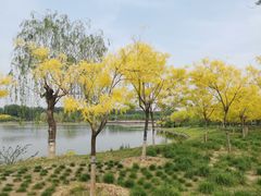 -东郊湿地公园