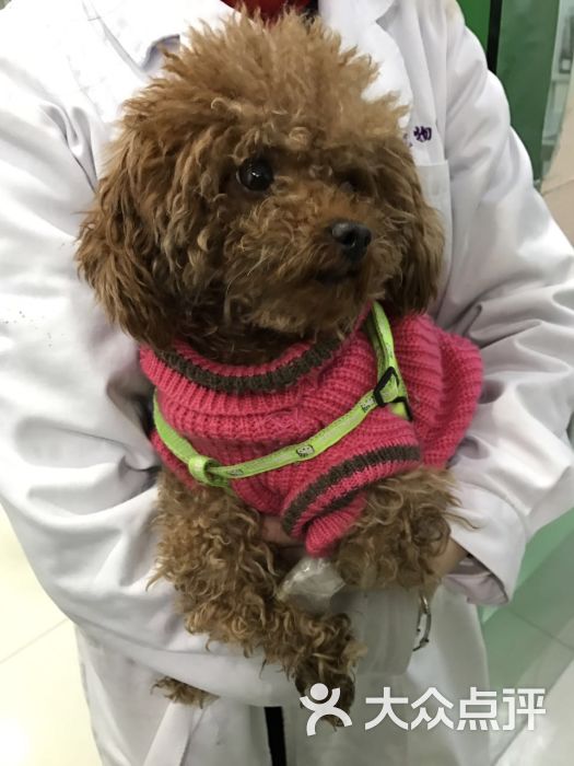 萌保宠物医院图片 - 第1张