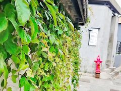 -三溪村