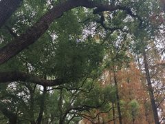 -食膳公园包子铺(烈士公园店)