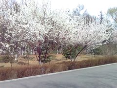 -长春市南湖公园