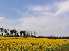 -白鹭湾湿地公园