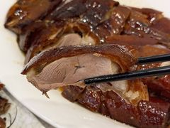 -沙田新强记烧鹅海鲜酒家