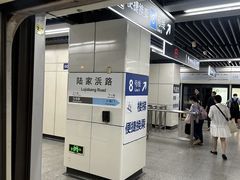 -陆家浜路(地铁站)