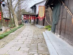 -西溪国家湿地公园
