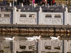 -丰台花园