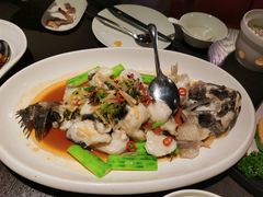 -粤凤佬