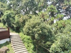 -敬亭山风景名胜区