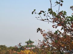 -北京西山国家森林公园