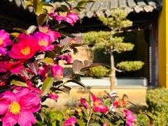 -盘门景区