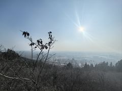 -唐指山风景区