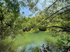 -青龙山国家森林公园