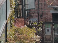 -古董花园(思南路42弄小区店)