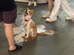 -大悦城(沈阳中街店)