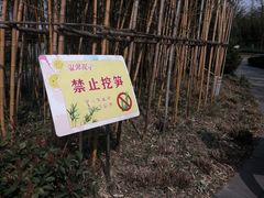 -南翔镇银翔湖公园