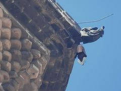-修德寺塔
