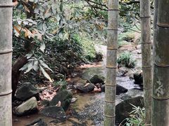 -梅岭神龙潭