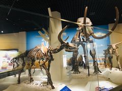 -国家自然博物馆