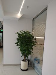 点击看大图 -魔型社烫染店