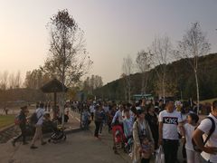 -哈尔滨北方森林动物园