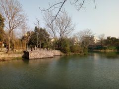 -西溪国家湿地公园