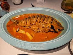 红烧黄河鲤鱼-阿五黄河大鲤鱼(英协路店)