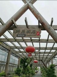 -麦粒鸟亲子游