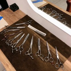 -净漪造型 PURE RIPPLE