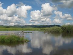 -塞罕坝国家级自然保护区