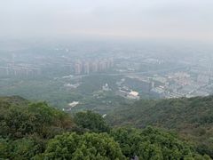 -杭州半山国家森林公园