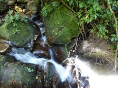 -海南热带雨林国家公园吊罗山景区