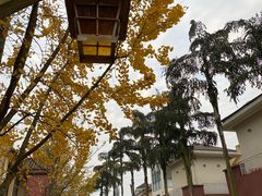 -重庆南山海昌汤都