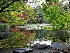 -北海道厅旧本厅舍(旧本庁舎)