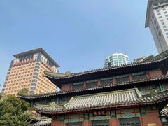 -南京钟山宾馆(江苏省会议中心)